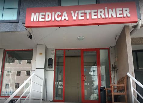 Ankara belediye veteriner hizmetleri